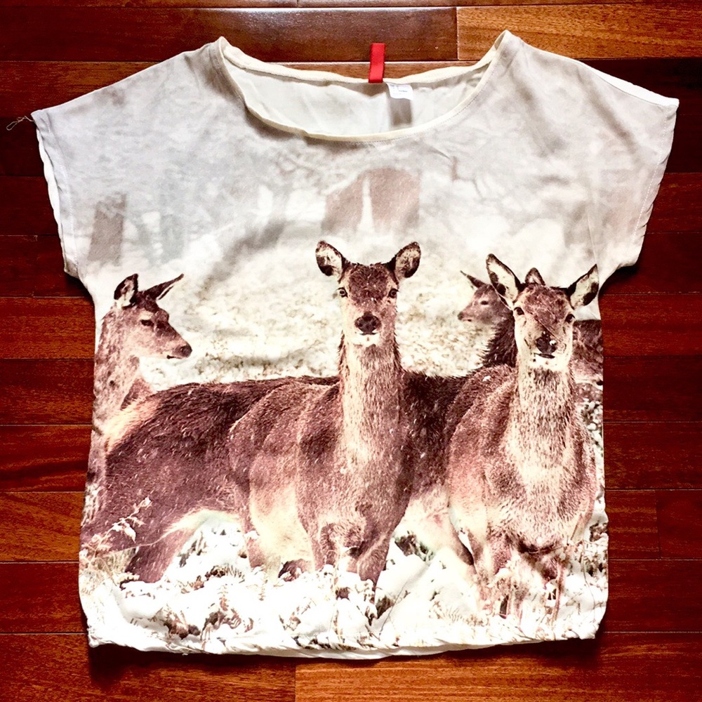 Deer Image Top